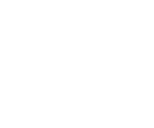Suzuki — Momentum Squads client
