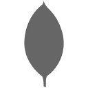 MongoDB